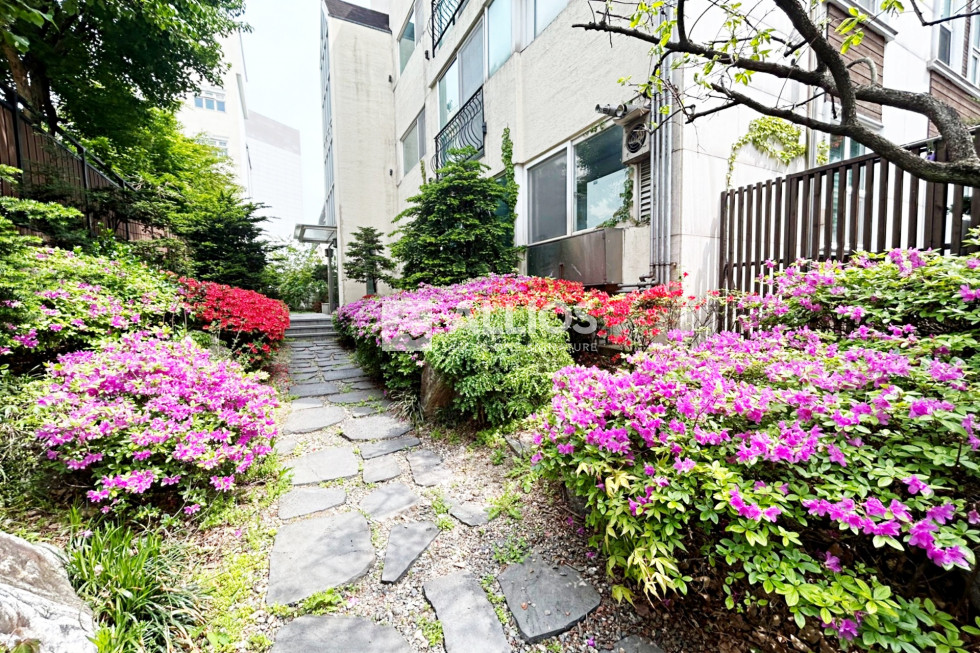 서울 용산구 한남동 한남동 순천향라인 고급빌라 헤라빌 정원세대 렌트 월세 매물번호 14558 사진 18