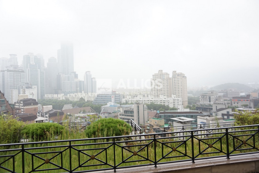 서울 강남구 도곡동1동 도곡 이니그마빌 펜트하우스, 정원, 테라스, 조망 최상, 숲세권 전세 매물번호 12430 사진 14