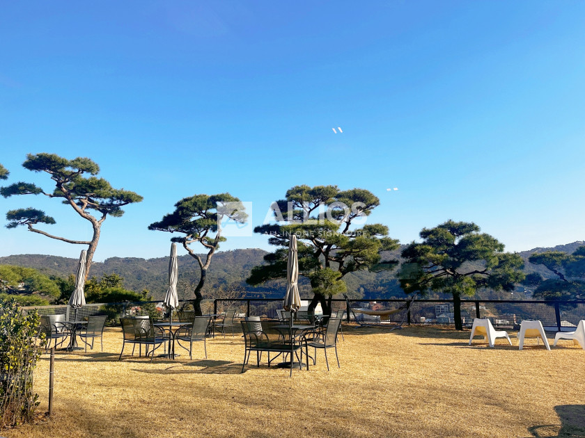 서울 종로구 평창동 평창동 환상적인 최고의 입지 오보에힐스 인근 대지 600평 2필지 매매 매매 매물번호 13349 사진 7