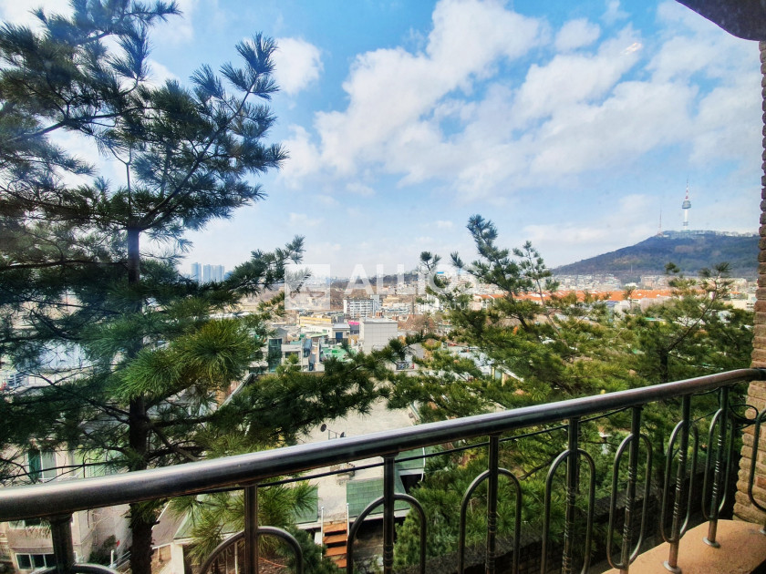 전망